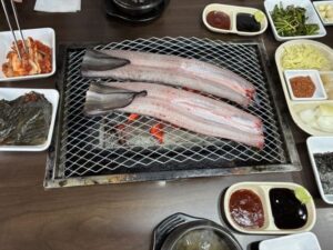 網いっぱいに並べられた生うなぎ