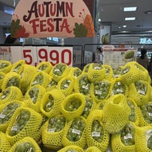 ロッテマートのシャインマスカット売り場